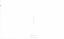 CPA Happy Fantasy Birthday