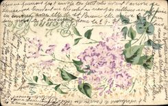 Flores de la fantasia de CPA