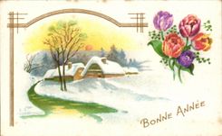 CPA Fantaisie Bonne Annee