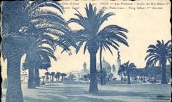 CPA Nice Les Palmiers Jardin du Roi Albert 1er