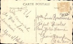 CPA Nice Les Palmiers Jardin du Roi Albert 1er