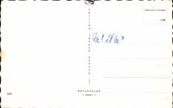 CPA Souvenir Lausanne Ouchy Suisse