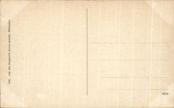 CPA Wiesbaden Partie am warmen Damm mit Blick auf Nassauisches Landes Theatre Parc avec le theatre