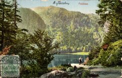 CPA Feldberg Feldsee Schwarzwald