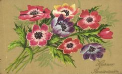 Fantasia de CPA Fluers