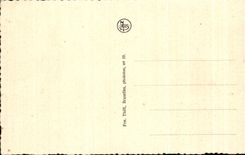 CPA Bruges the Lake Of love Brugge Het Minnewater Swan