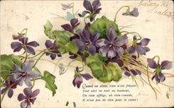 Flores de la fantasia de CPA