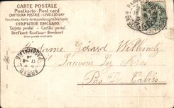 Flores de la fantasia de CPA