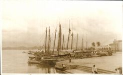 Real photo Boats in the Tropics