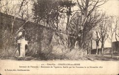 CPA Cote d'Or Chatillon sur Seine Souvenir de I'Invasion Monument de vigneron fusille par les Prussiens le 19 decembre 