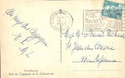 CPA Strasbourg Nest of Storks and the cathedral