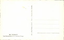 CPA Biarritz Les Hortensias et la Grande Plage