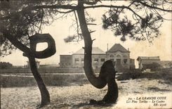 CPA los pinos Twisted de la gran dimension el casino