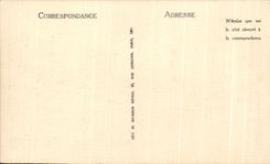 CPA Lourdes the Esplanade And the Castle