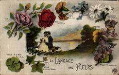 Lengua de CPA de las flores