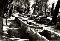 CPA Arles Alyscamps gone of the Tombs