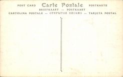 CPA Ruines Romaines deTimgad Mosaique des Oiseaux Algerie