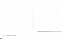 CPA Grandson Romance Church of St Jean