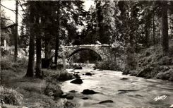 CPA Gerardmer Health resort the Bridge of the Fairies on Vologne