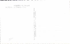 CPA Montpellier the Castle