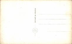 Flores de la fantasia de CPA