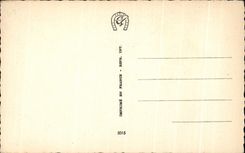 CPA Joyeux Noel
