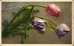 Cumpleanos feliz de las flores de la fantasia de CPA