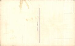 Cumpleanos feliz de las flores de la fantasia de CPA