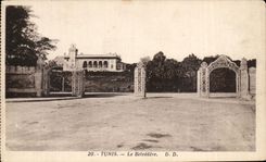 CPA Tunis the View-point