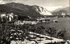 CPA Stresa Primavera Lago Maggiore 