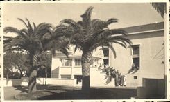 Real photo (nonlocalized)