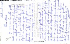 CPA Meknes haras Cour interieure Maroc