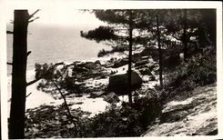CPA ile De Noirmoutier Un Coin Pittoresque Dans Le Bois De La Chaize