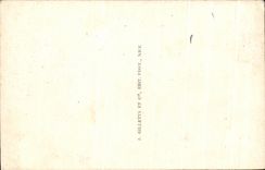 CPA Nice Les Nouvelles Terrasses