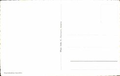 CPA Geneva the jet of ean and Mont Blanc