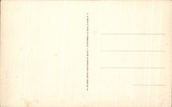 CPA Picturesque Cantal Puy Mary West coast