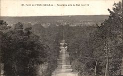 CPA Drill of Fontainebleau Panorama taken of Mait Henri IV