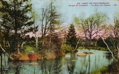 CPA Drill De Fontainebleau Falls of Franchard the Pond to the Pigeons