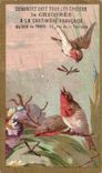 Chromo Chicoree G Black Sainte Odile Cambrai oiseaux 