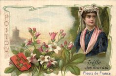 Chromo Poitou Trefle des marais Fleurs de France Belle Jardiniere Beriot lille chicoree