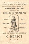 Chromo Poitou Trefle des marais Fleurs de France Belle Jardiniere Beriot lille chicoree