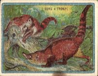 Image L'Ours A Trompe Chocolat Pupier
