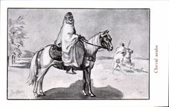 Arab image Horse
