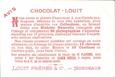 Chromo Chocolat Louit Falcinelle Erolia