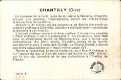 Image Castle of Chantilly swans