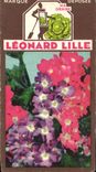 Image Flowers Leonard Lille Vervain