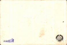 Image Attention with the Guard Dog Fox