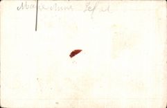 Image chocolate Vinay Oh Dog the beautiful ducks Child wife