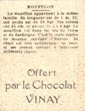 Image Moufflon Vinay chocolate