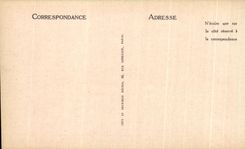 CPA Blois Le Chateau L'Aile Louis XII Le Porc Epic